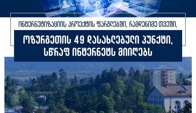 ინტერნეტიზაციის პროექტი