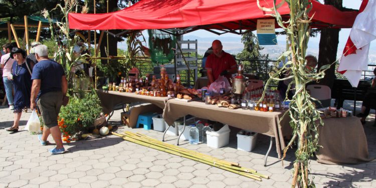 მთაწმინდის პარკში ჩაის, თაფლის და ყველის ფესტივალი გაიმართა