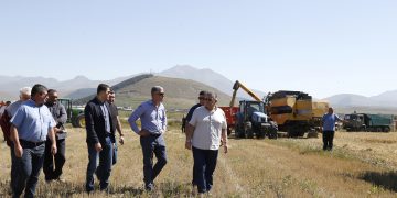 სამცხე-ჯავახეთის რეგიონში, მარცვლეული კულტურების მოსავლის აღება შეუფერხებლად მიმდინარეობს