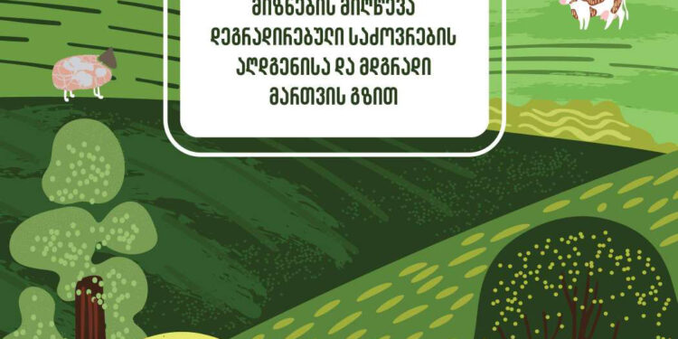 მიწის დეგრადაციის პრევენციისთვის, საქართველოში საძოვრების მდგრადი მართვის პოლიტიკის შემუშავება იწყება