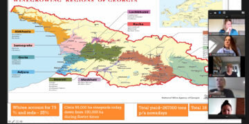 ბრიტანელი ღვინის პროფესიონალებისთვის ქართული ღვინის ონლაინ ტური გაიმართა