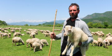 ცხოველთა იდენტიფიკაცია-რეგისტრაციის პროგრამა გასული წლის მუშაობას აჯამებს