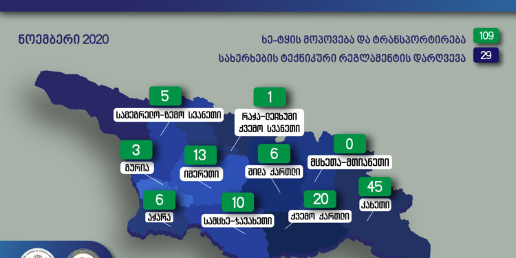 ნოემბრის თვეში უკანონო ტყითსარგებლობის 109 ფაქტი გამოვლინდა