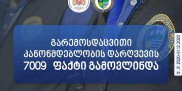 2020 წელს, გარემოსდაცვითი კანონმდებლობის დარღვევის 7 009 ფაქტი გამოვლინდა
