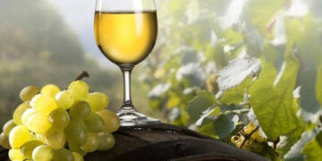 ჩინეთში ქართული ღვინის პოპულარიზაციის ღონისძიებებში პროფესიონალები ჩაერთვებიან