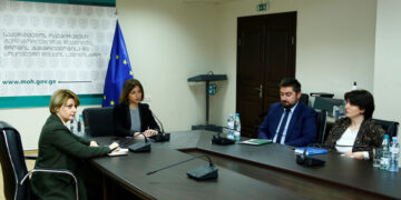 ეკატერინე ტიკარაძე  სახელმწიფო რწმუნებულებს შეხვდა