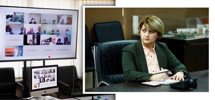 თამილა ბარკალაიამ სოციალურ აგენტებთან ონლაინ ფორმატში შეხვედრა გამართა