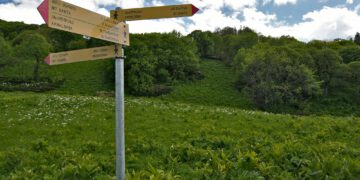 ნეძვის აღკვეთილში ახალი ეკოტურისტული ბილიკი ერთმანეთთან დააკავშირებს კურორტ ახალდაბას, მთა დიდ ქართას, მთა შუანოს და სოფელ ნეძვს