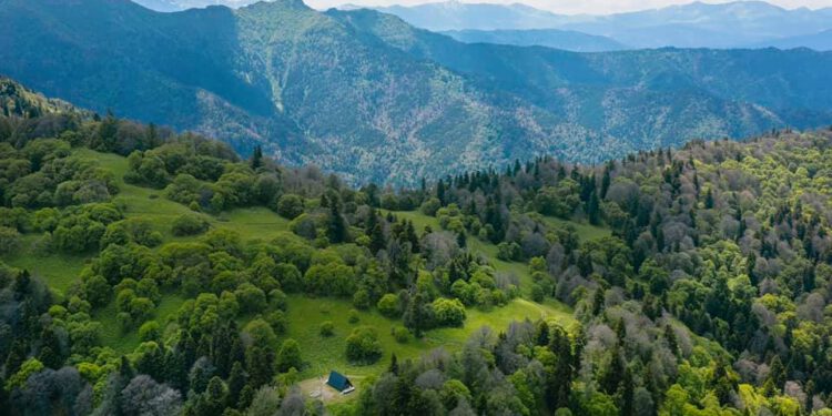 ნეძვის აღკვეთილში ახალი ეკოტურისტული ბილიკი ერთმანეთთან დააკავშირებს კურორტ ახალდაბას, მთა დიდ ქართას, მთა შუანოს და სოფელ ნეძვს