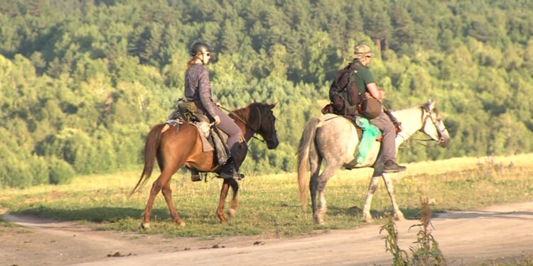 შიდა ტურიზმი: რამდენს ხარჯავენ და რა მიზნით მოგზაურობენ საქართველოს მოქალაქეები