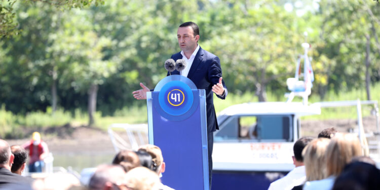 ირაკლი ღარიბაშვილი — ფოთი ირჩევს ახალგაზრდა, წესიერ, ადამიანს, რომელიც მოემსახურება თავის ფოთს და მეორეს მხრივ არის კორუმპირებული, დეგრადირებული პოლიტიკოსი, მარგინალიზებული გიგი უგულავა, ძალიან მაინტერესებს, რატომ მოდის ფოთში კაცი, რომელიც ცნობილია ძარცვით (R)