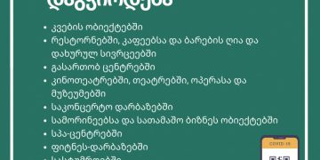 პირველი დეკემბრიდან ე.წ. მწვანე პასპორტი ამოქმედდება
