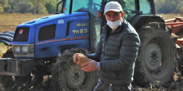 როცა ინოვაცია ტრადიციას ხვდება: ევროკავშირის და FAO-ს მხარდაჭერა