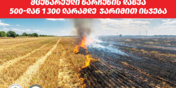 სასოფლო-სამეურნეო სავარგულზე მცენარეული ნარჩენის დაწვა 500-დან 1 300 ლარამდე  ჯარიმით ისჯება