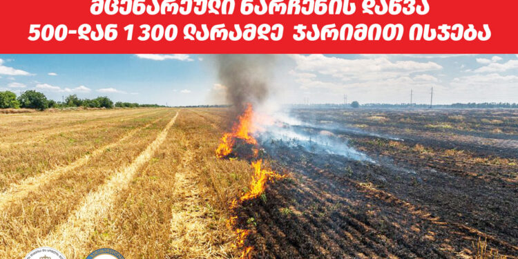 სასოფლო-სამეურნეო სავარგულზე მცენარეული ნარჩენის დაწვა 500-დან 1 300 ლარამდე ჯარიმით ისჯება