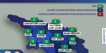 გარემოსდაცვითი ზედამხედველობის დეპარტამენტის თანამშრომლებმა აგვისტოში უკანონო ტყითსარგებლობის 164 ფაქტი გამოავლინეს