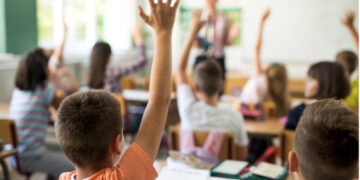 საქართველოში სკოლების რაოდენობა შემცირდა