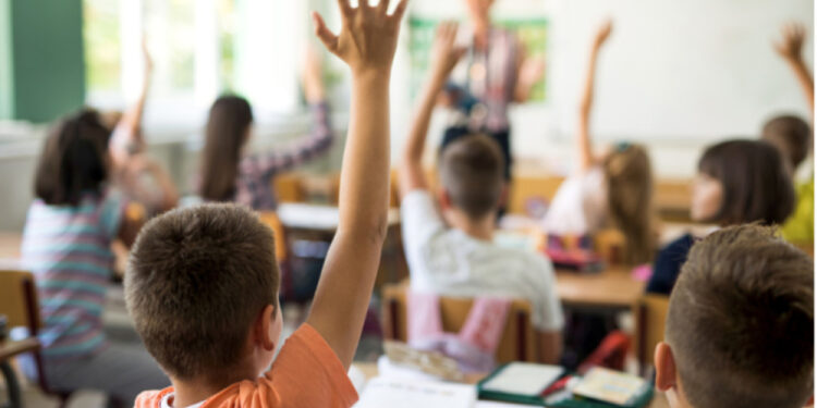 საქართველოში სკოლების რაოდენობა შემცირდა