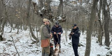 1 მარტიდან გადამფრენ ფრინველებზე ნადირობა აკრძალულია
