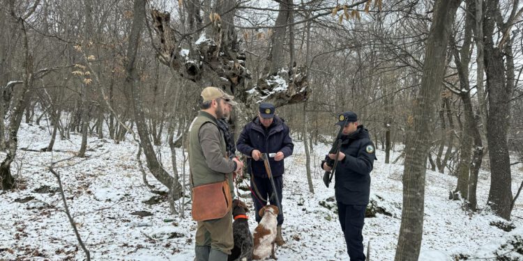 1 მარტიდან გადამფრენ ფრინველებზე ნადირობა აკრძალულია