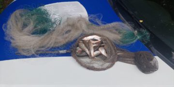 გარემოსდაცვითი ზედამხედველობის დეპარტამენტის თანამშრომლებმა უკანონო თევზჭერის 11 ფაქტი გამოავლინეს