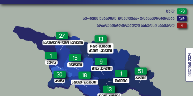 გარემოსდაცვითი ზედამხედველობის დეპარტამენტის თანამშრომლებმა ივლისში უკანონო ტყითსარგებლობის  178 ფაქტი გამოავლინეს
