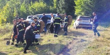 ახალდაბის ტყეში ხანძარი ლიკვიდირებულია!