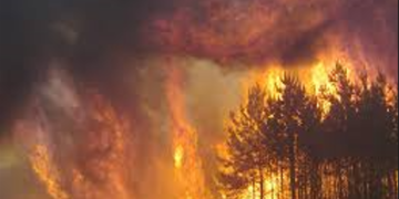 «საჭირო გახდება ვერტმფრენების ჩართვა, მუნიციპალური ტექნიკა შეყვანილი გვყავს» — ბორჯომის მერი ახალდაბის ტყის ხანძარზე