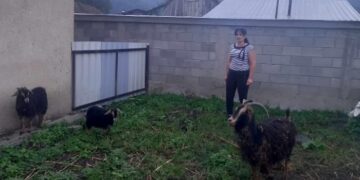 ბლოგი — ქალის ცხოვრება მთაში