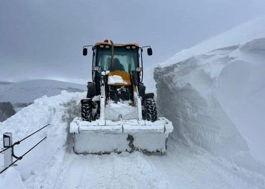 ბორჯომის მუნიციპალიტეტში დიდთოვლიანობის გამო, გზების გაწმენდა ინტენსიურად მიმდინარეობს