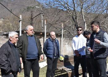 «სოფლის მხარდაჭერის პროგრამის» ფარგლებში მოსახლეობასთან შეხვედრები რველში, ზანავში, ვარდგინეთში, ბეშეთსა და კორტანეთში გაიმართა