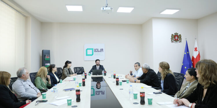 ეთნიკური უმცირესობების საკითხებზე მომუშავე ჯგუფის შეხვედრა ცესკოში