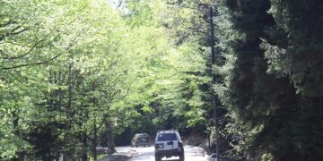 ტბისა და ცემის დამაკავშირებელ გზაზე გარე განათების ქსელი გაკეთდა