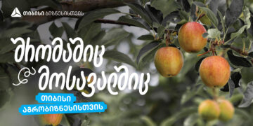 თიბისი აგრობიზნესისთვის — „ჭარებულას“ ვაშლის ბაღები ქართლში