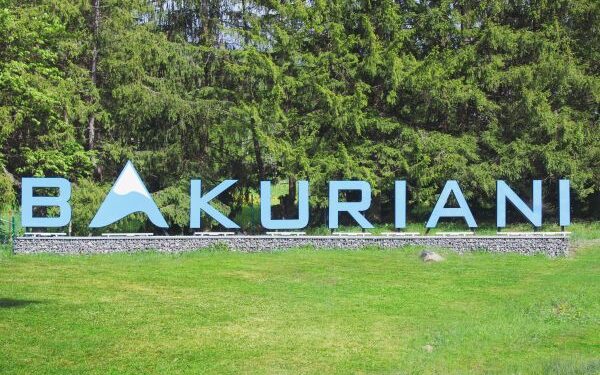 ბაკურიანის განვითარების სააგენტო გამოცხადებული ელექტრონული აუქციონების შესახებ განცხადებას ავრცელებს