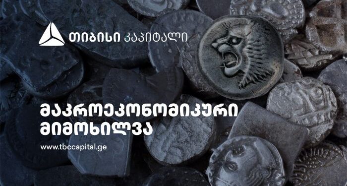 სავალუტო კონვერტაციების დინამიკის შეფასება