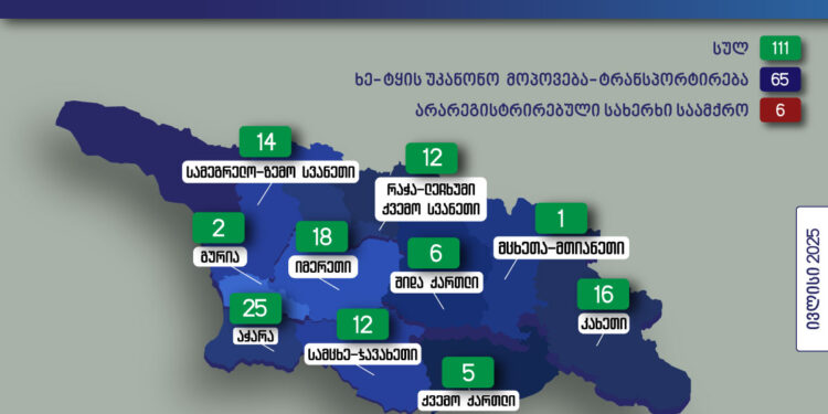 გარემოსდაცვითი ზედამხედველობის დეპარტამენტის თანამშრომლებმა ივლისში უკანონო ტყითსარგებლობის 111 ფაქტი გამოავლინეს