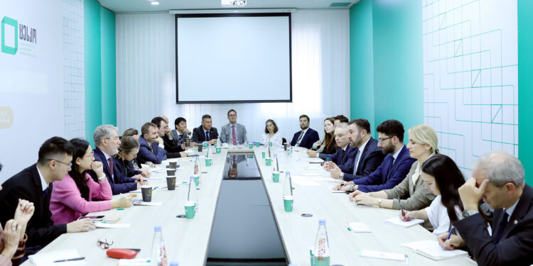 ცესკოს თავმჯდომარემ საერთაშორისო ორგანიზაციებისა და დიპლომატიური კორპუსის წარმომადგენლებს მიმდინარე საარჩევნო საკითხები გააცნო