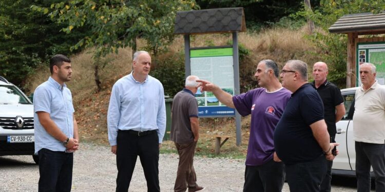 სამცხე-ჯავახეთის სახელმწიფო რწმუნებულმა ბორჯომის მუნიციპალიტეტში მიმდინარე ინფრასტრუქტურული პროექტები დაათვალიერა