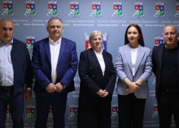 ბორჯომის მუნიციპალიტეტის მე-8 მოწვევის საკრებულომ მუდმივმოქმედი კომისიის თავმჯდომარეები აირჩია