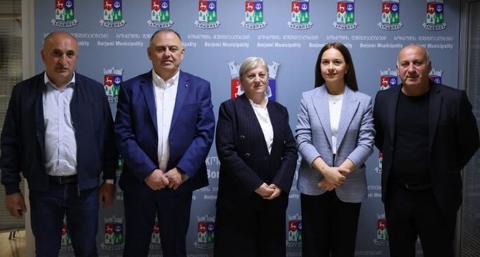 ბორჯომის მუნიციპალიტეტის მე-8 მოწვევის საკრებულომ მუდმივმოქმედი კომისიის თავმჯდომარეები აირჩია