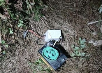 გარემოსდაცვითი ზედამხედველობის დეპარტამენტმა ნადირობის სეზონის გახსნიდან 2 თვეში 629 სამართალდარღვევა გამოავლინა