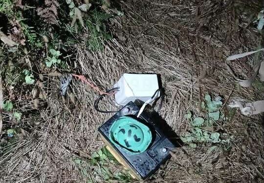 გარემოსდაცვითი ზედამხედველობის დეპარტამენტმა ნადირობის სეზონის გახსნიდან 2 თვეში 629 სამართალდარღვევა გამოავლინა