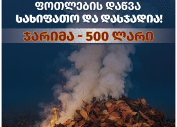 ფოთლების დაწვა სახიფათო და დასჯადია