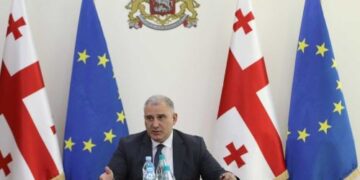 მიხეილ სარჯველაძე: „პირველადი ჯანდაცვის მიმართულებით, ამბიციური გეგმები გვაქვს“