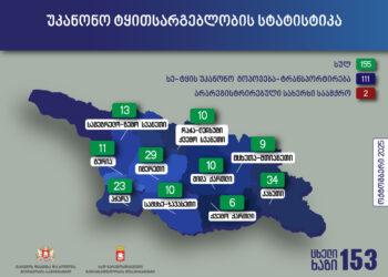გარემოსდაცვითი ზედამხედველობის დეპარტამენტმა ოქტომბერში უკანონო ტყითსარგებლობის 155 ფაქტი გამოავლინა