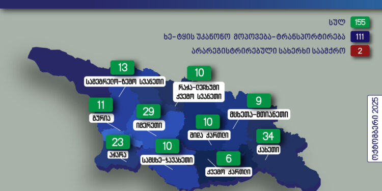 გარემოსდაცვითი ზედამხედველობის დეპარტამენტმა ოქტომბერში უკანონო ტყითსარგებლობის 155 ფაქტი გამოავლინა