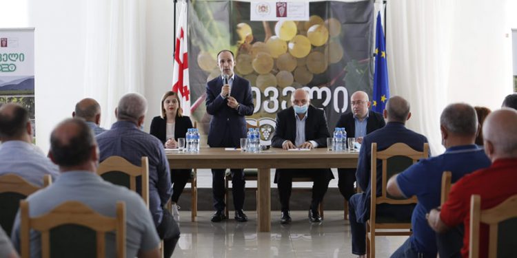 თელავში რთველი 2020-ის საკოორდინაციო შტაბი გაიხსნა