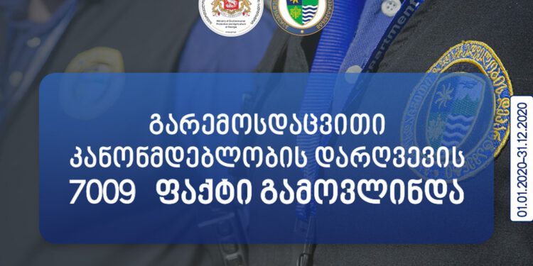 2020 წელს, გარემოსდაცვითი კანონმდებლობის დარღვევის 7 009 ფაქტი გამოვლინდა