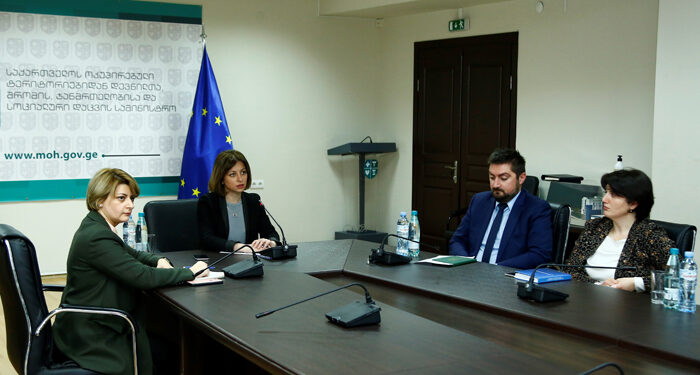 ეკატერინე ტიკარაძე  სახელმწიფო რწმუნებულებს შეხვდა